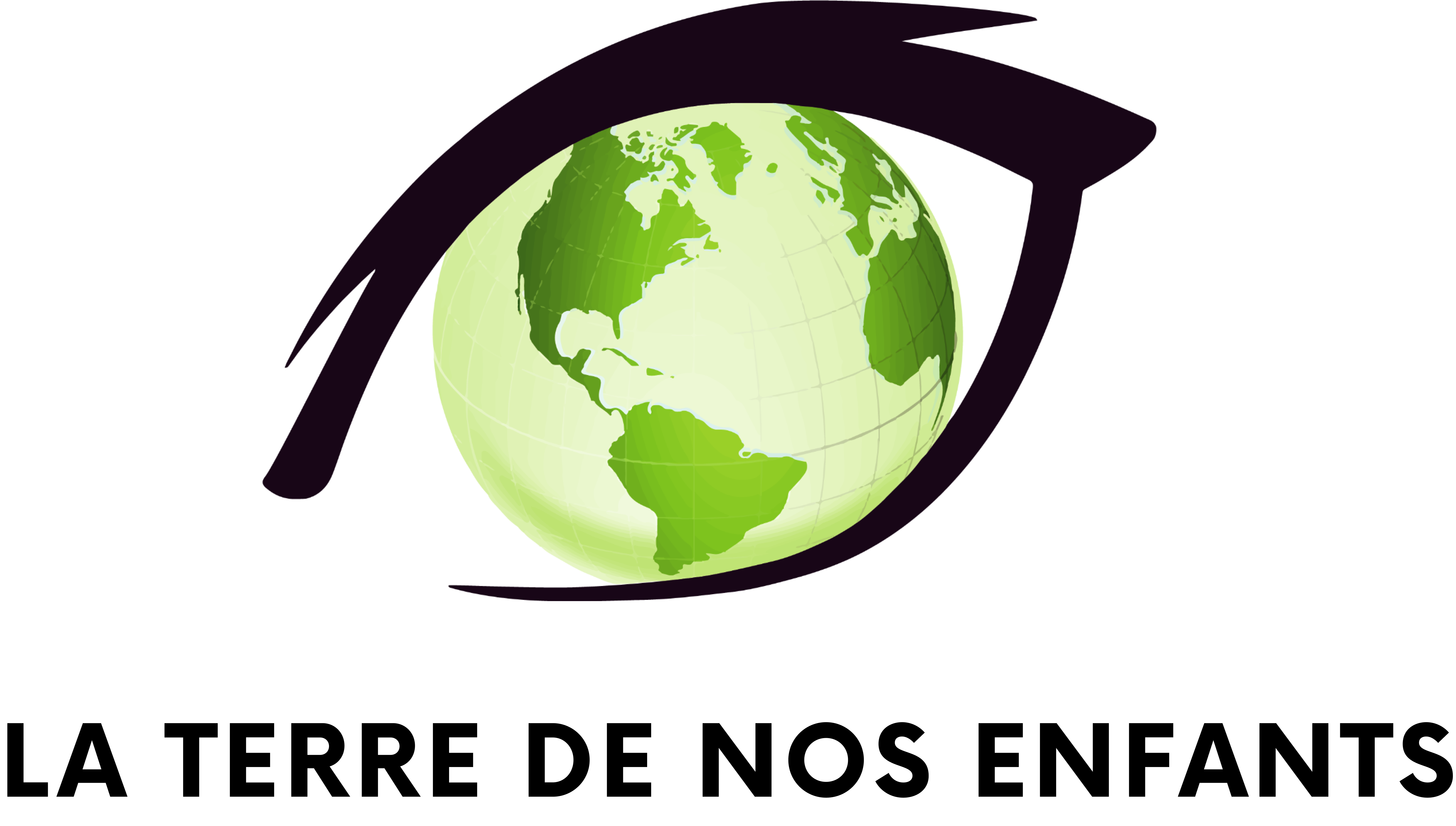 Une planète terre dans un oeil