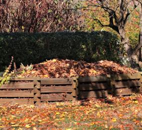compost feuilles mortes