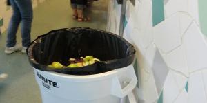 Mettre en œuvre une opération de compostage autonome en établissement