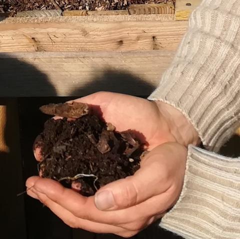 Compost tenu dans des mains
