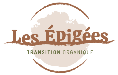Les Epigées