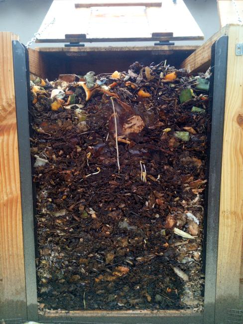 Coupe transversale d'un compost en cours de décomposition