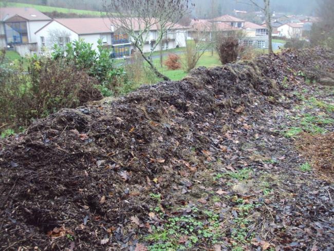Gestion des déchets verts au Foyer occupationnel ALCIH