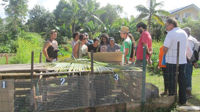 Compost de la Micro-Ferme Urbaine du Tampon