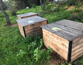 Résidence Isula Piana