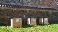 Aixe-sur-Vienne - Parc Marcelle Delpastre