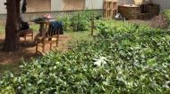 Jardin A l'écoute des parents