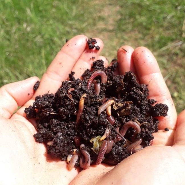 Compost'Vers, ferme d'élevage de vers de compost et de traitement en gros volume des bio-déchets et gestion des fumiers à la campagne par compostage/lombricompostage