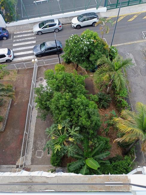 vue aérienne du jardin en pied d'immeuble, avec un accés sur la chaussé public.