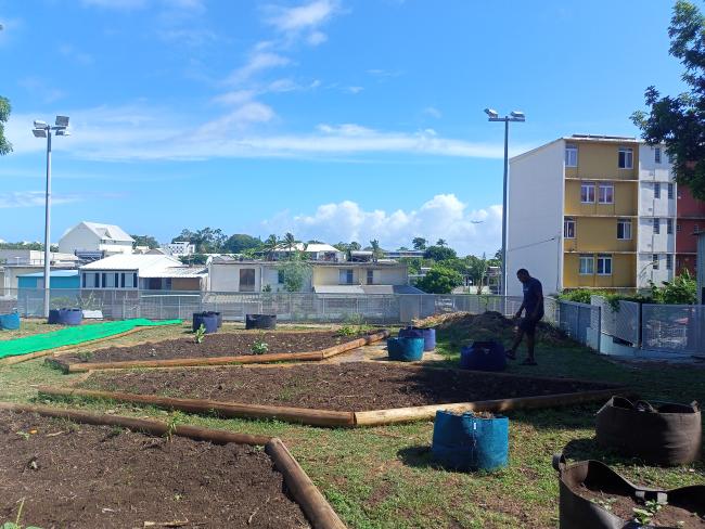 jardin partagé de l'association nouladinoulafé  implanté en plein quartier prioritaire (QPV) de la source.