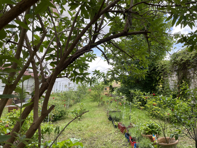 Un espace vert et vivant