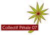 Logo Pétale 07