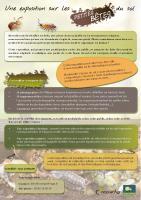 Aperçu de la ressource